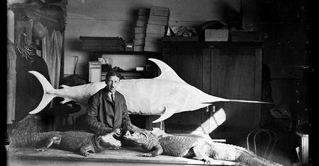 Wiesław Rakowski. Archiwum Zoologiczne. Wystawa, którą warto zobaczyć!