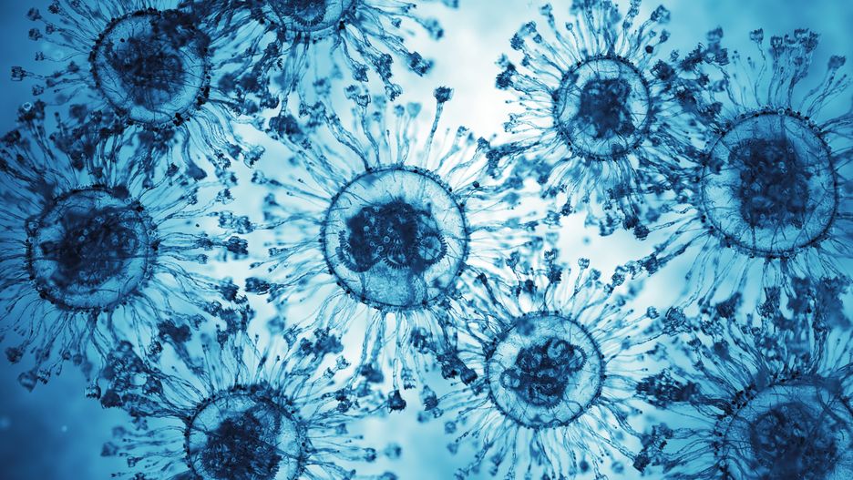 Virus Disease X Cells. Microscope Slide
Disease X Cells. 3D Render
BlackJack3D