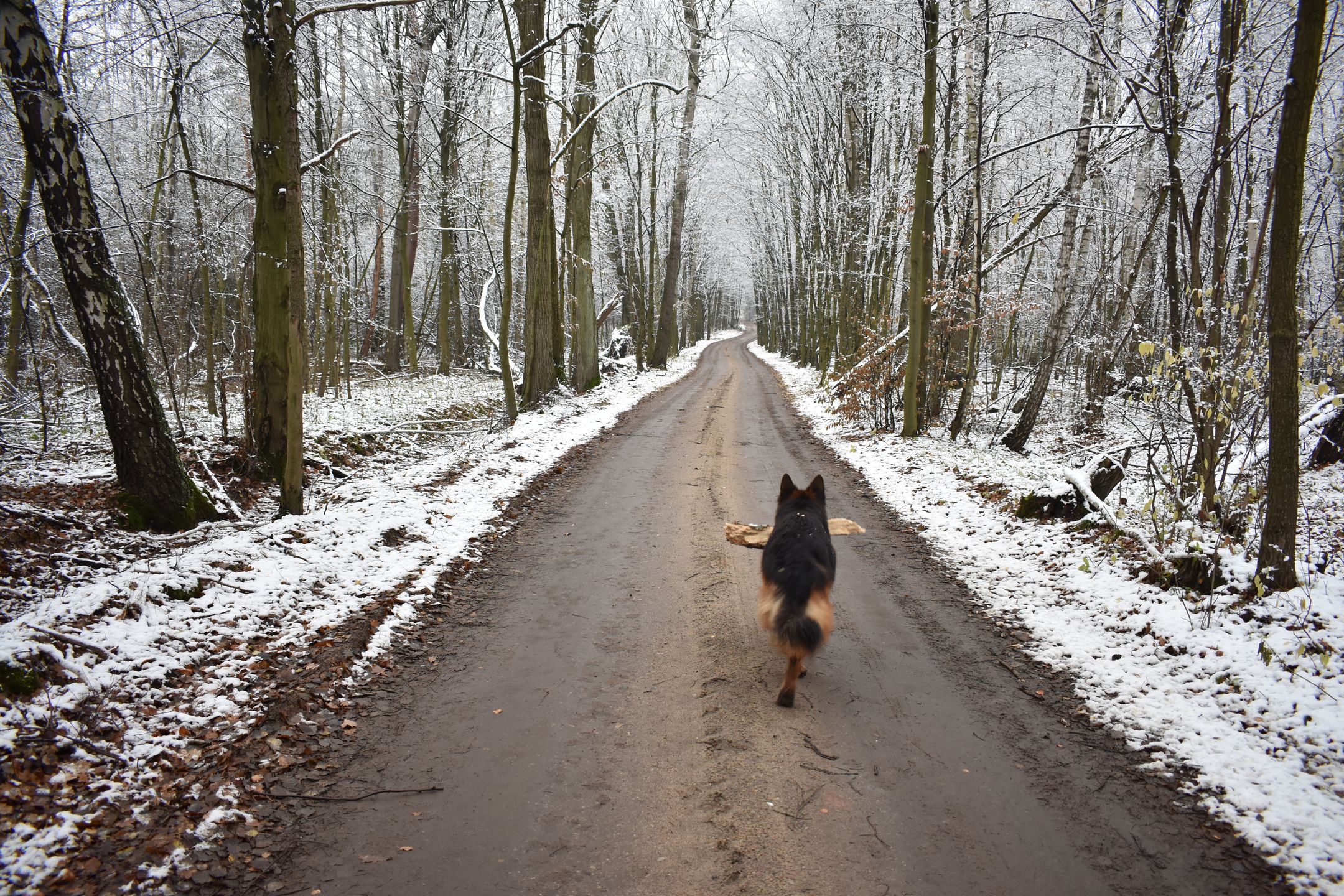 Nikon D3400 - test lustrzanki dla każdego 50