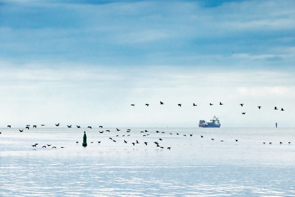 Terminal LNG w Zatoce Gdańskiej: kamienie milowe osiągnięte