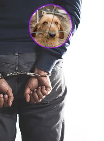 Nastolatki katowały psa widłami. Czy 5 lat więzienia to za mało?