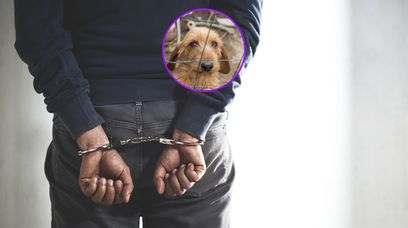 Nastolatki katowały psa widłami. Czy 5 lat więzienia to za mało?