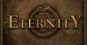 Project Eternity nie dla konsol i tabletów