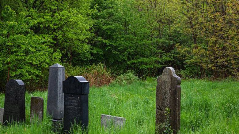 Bielsko-Biała. Festiwal Eko nawiązuje do powstania Tajemniczego Ogrodu na bielskim kirkucie.