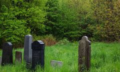 Bielsko-Biała. Rusza II Festiwal Ekodzieło. Inspiracją Tajemniczy Ogród