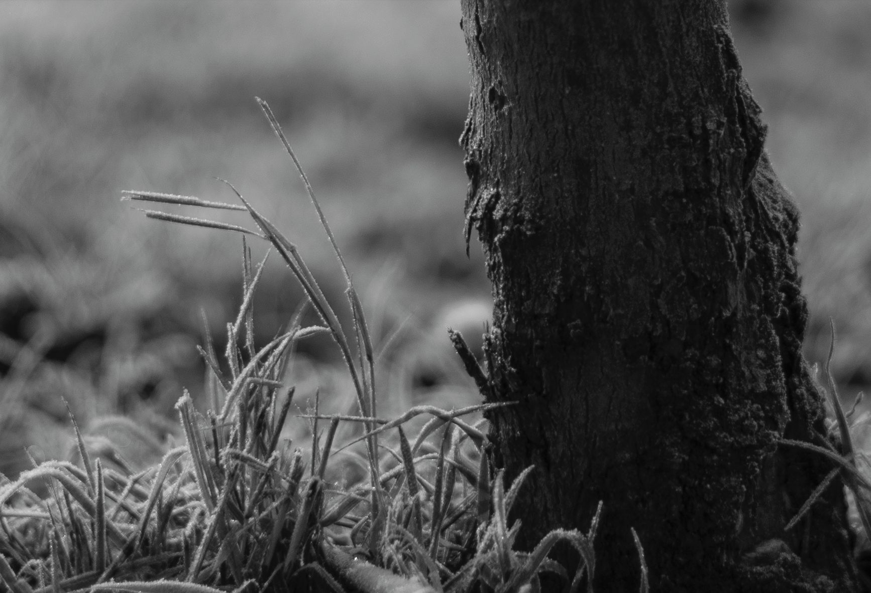 Voigtländer VM 50 mm f/1.1 Nokton - bardzo jasna pięćdziesiątka, która kreuje własną rzeczywistość [test] 29