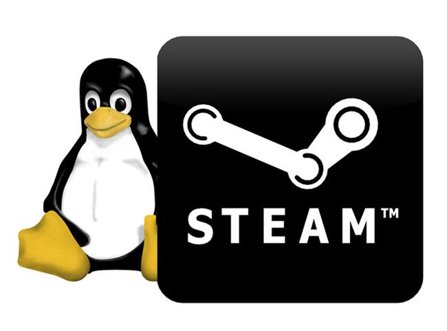 Gwiazdkowy prezent dla użytkowników Linuksa: beta serwisu Steam dostępna dla wszystkich