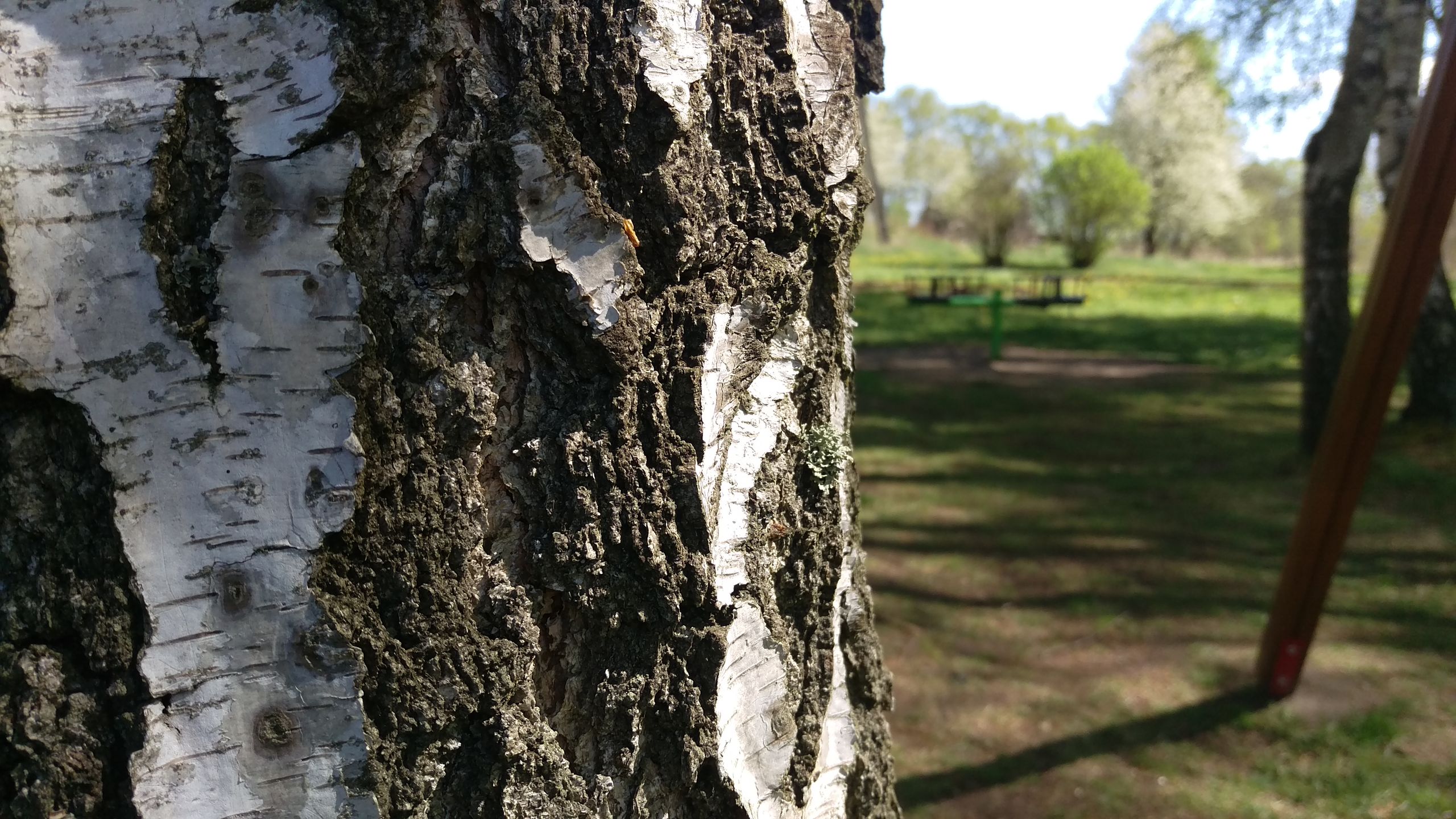 Test HTC One M9: cenowy absurd 18