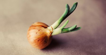 Projekt Tor prezentuje nową odsłonę Onion i bezpieczniejszy darknet