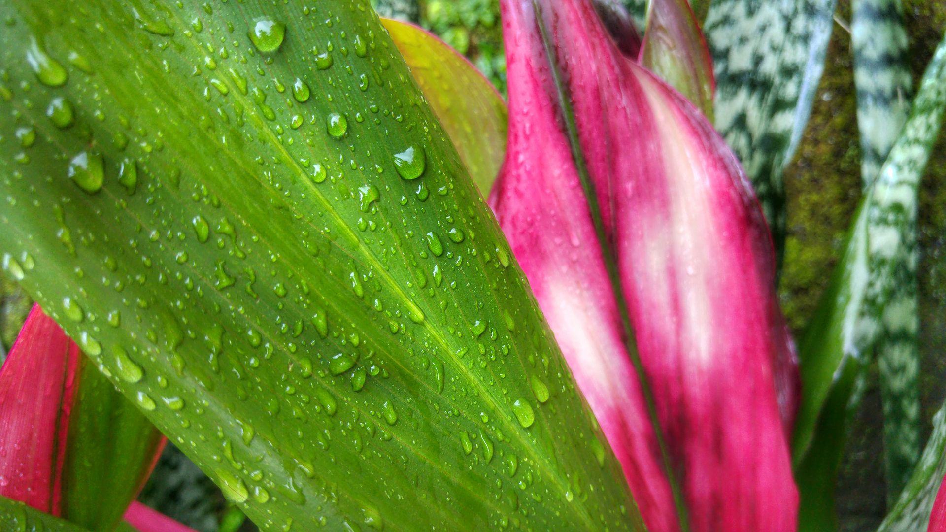 Jacek Bonecki fotografuje LG G4. Efekty są niesamowite! 10
