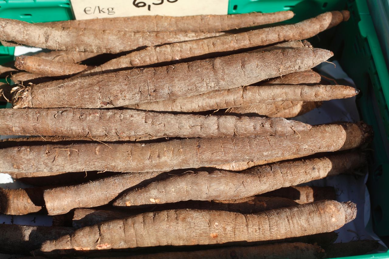 Warzywo o zabawnej nazwie wraca na stoły