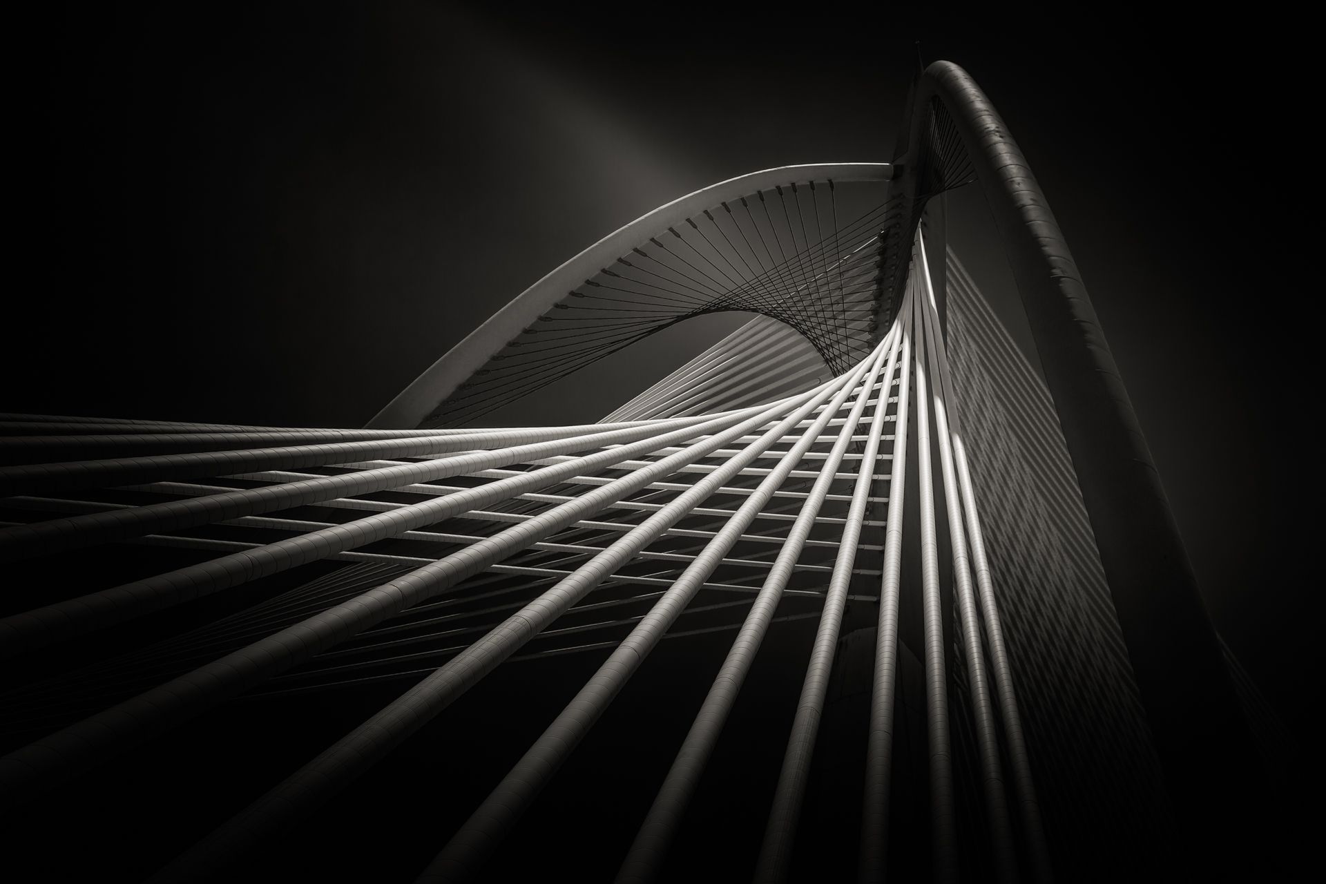 Znamy zwycięzców konkursu Hasselblad Masters 2016 6