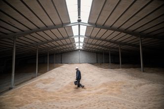 Wzrost cen silosów zbożowych. Przeszukano siedziby dwóch firm