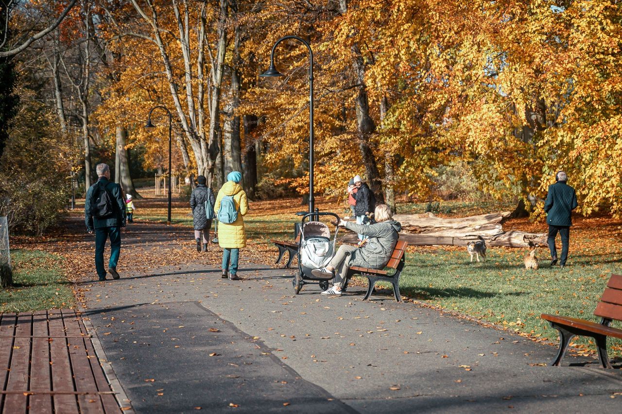 Pensje Polaków znów rosną. Ale dane z maja pokazują niepokojący trend