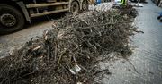 Bydgoszcz: Wileńska mniej zielona. Drzewa poszły pod topór