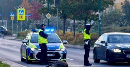 Warszawa: Poranne zderzenie z dzikiem na Kabatach