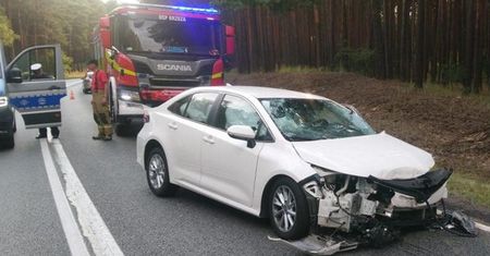 W tragedii zginęła cała rodzina. Nowe fakty w sprawie wypadku na DK10