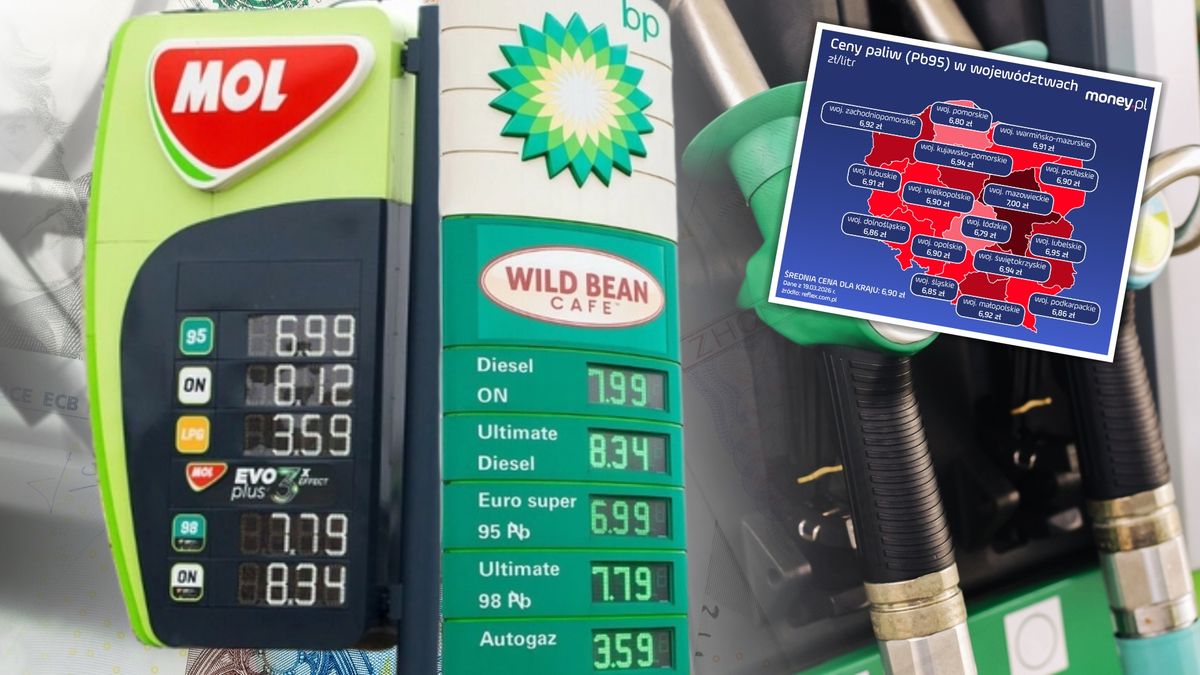 W Olsztynie cena diesla już przekroczyła 8 zł za litr. Najnowsze