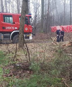 Tragedia podczas wycinki drzew. Nie żyje 48-latek