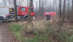 Tragedia podczas wycinki drzew. Nie żyje 48-latek