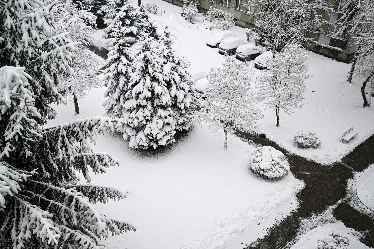 Pogoda na Boże Narodzenie 2025. Widać szansę na białe święta