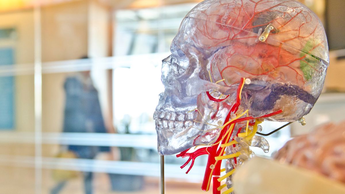 Używanie smartfonów zmienia rozwój mózgów dzieci. Za 10 lat zobaczymy, czy to źle