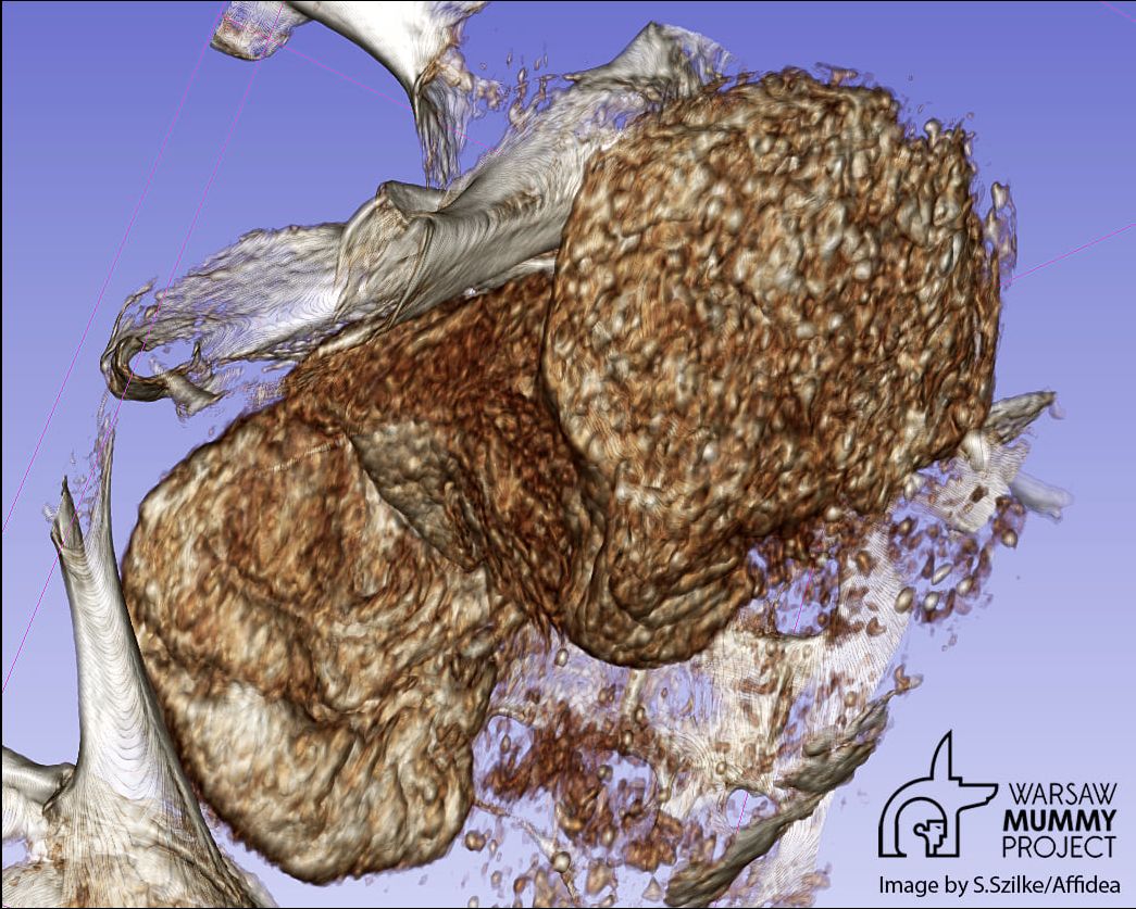 Naukowcy pokazali niezwykłe zdjęcia