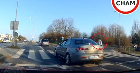 Blisko tragedii na pasach. Film pojawił się w sieci