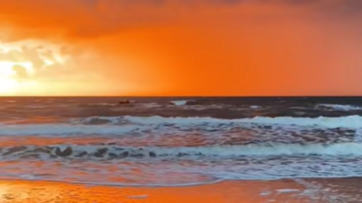 Niezwykły widok w Rewalu.