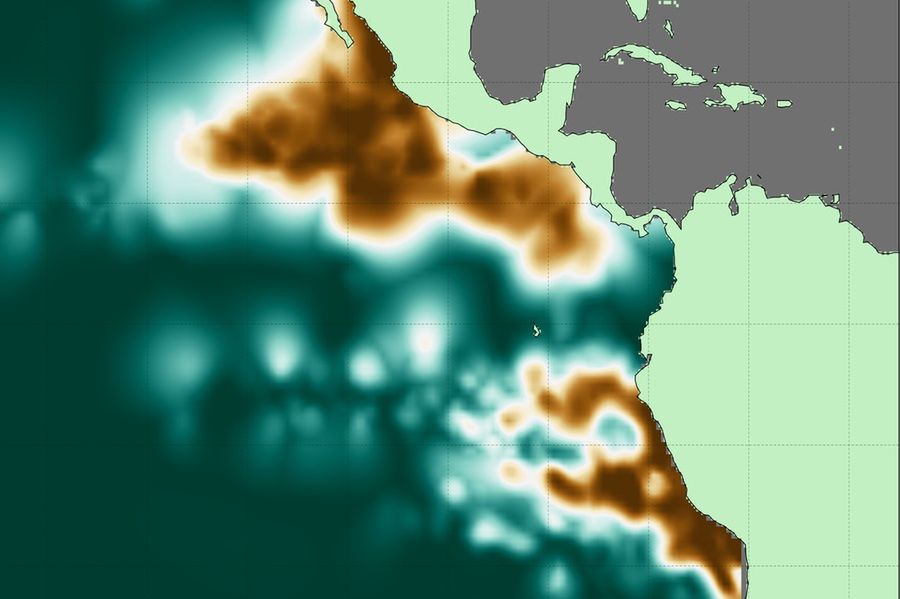 Kolejny problem Ziemi? Nowe mapy odsłoniły martwe strefy - Dwie wielkie strefy ODZ u wybrzeży Ameryk.