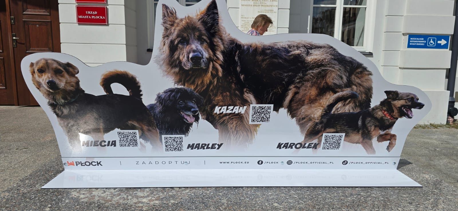 Podopieczni płockiego schroniska przed płockim ratuszem 