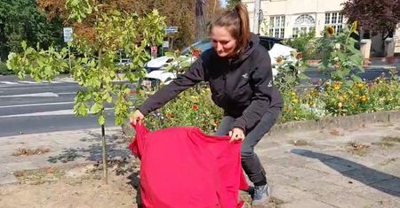 Tak upamiętnili prezydenta Poznania. "Należy się betonowemu królowi"