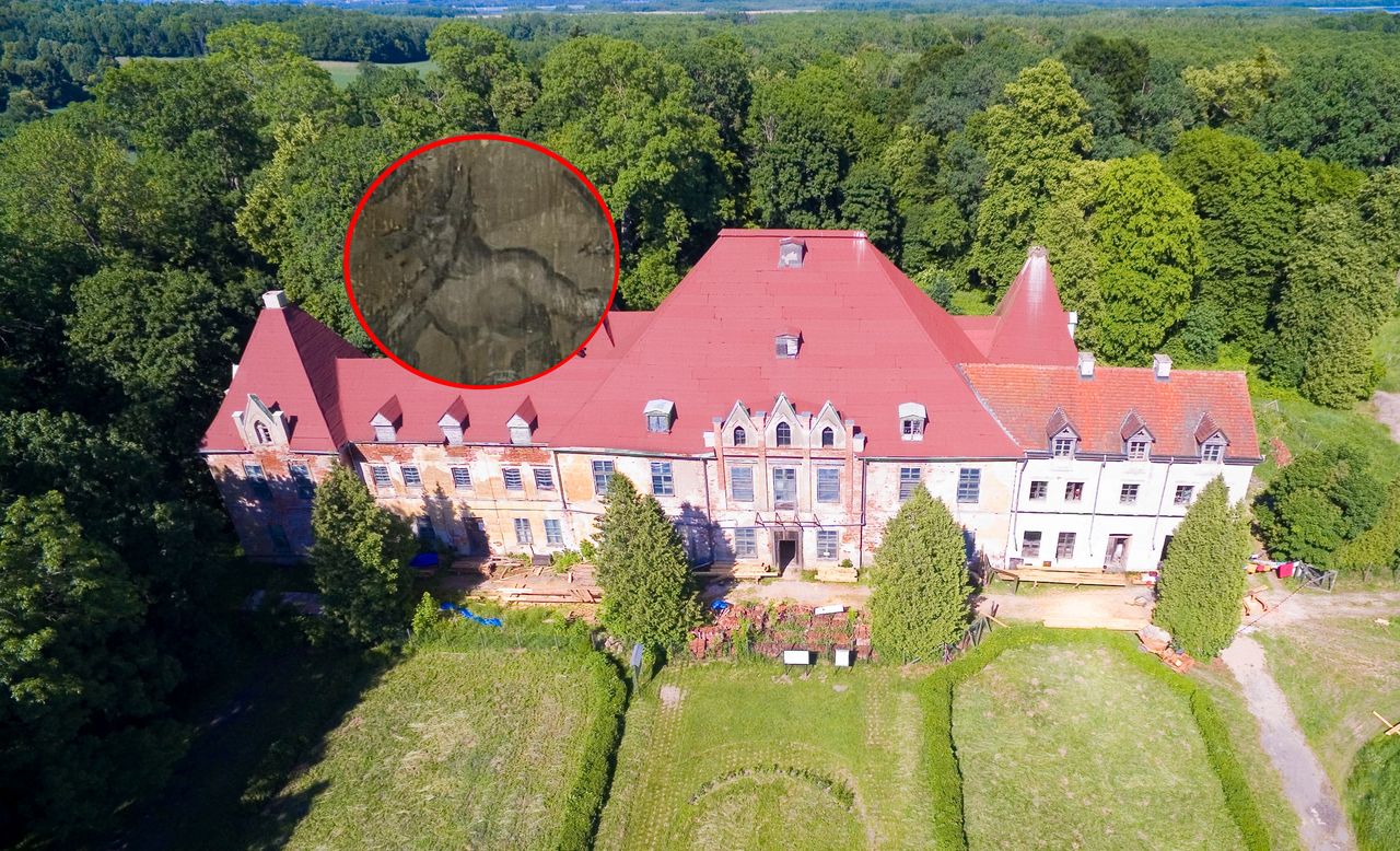 Niezwykłe odkrycie w polskim pałacu. "Cudo"