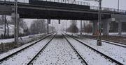 Wpadł pod pociąg. Policja ustala tożsamość mężczyzny