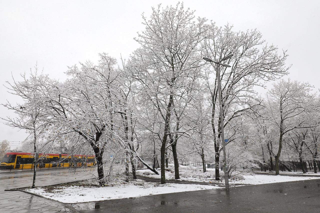 Sypnęło śniegiem. IMGW wydaje alerty