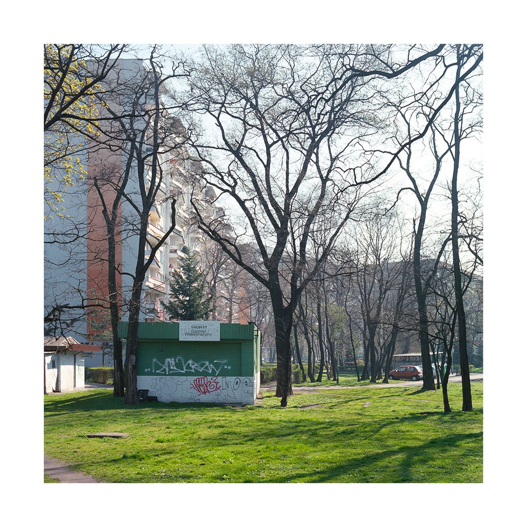 Palimpsest - w poszukiwaniu dawnych niemieckich cmentarzy w Polsce 3