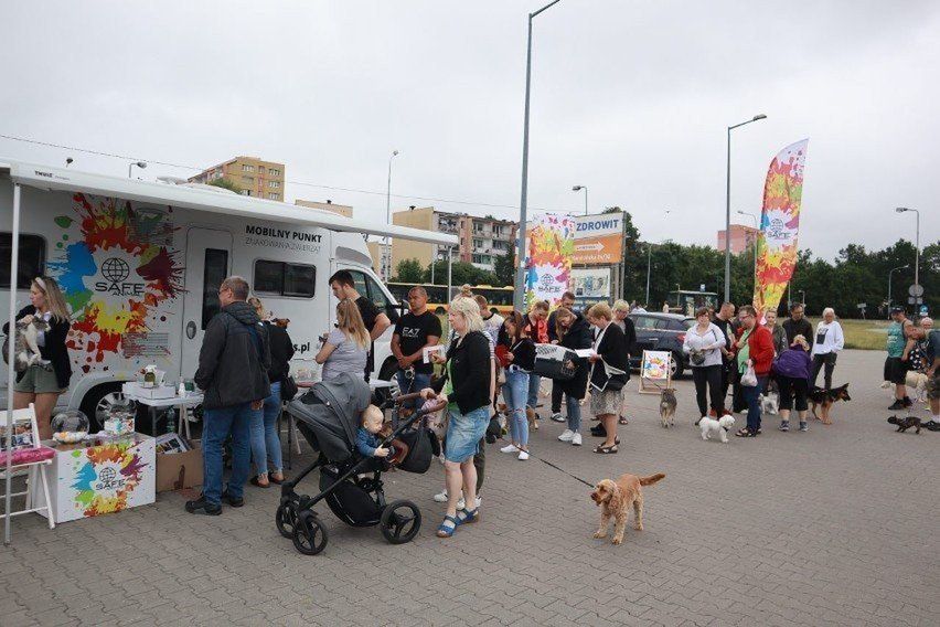 W Łodzi od lat schronisko dla zwierząt i organizacja Safe Animal organizują akcję bezpłatnego czipowania zwierząt.