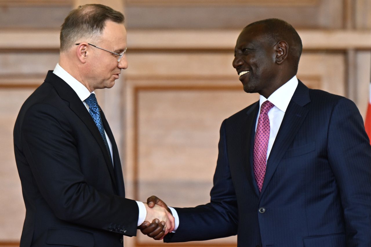 Polska podąży drogą Chin w Afryce? Od soft power do handlu bronią. "Hit eksportowy"