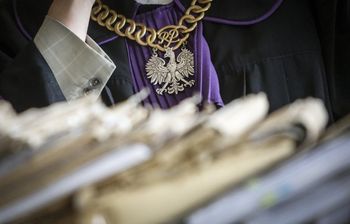 Bienice: Bandyta odpowie za zabicie kota. Grozi mu do 5 lat