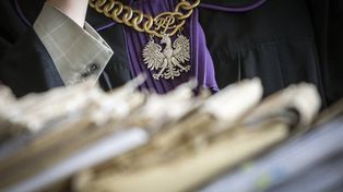 Bienice: Bandyta odpowie za zabicie kota. Grozi mu do 5 lat
