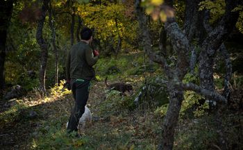 Poszli na grzyby, a znaleźli kokainę. Pies wywąchał ją w ziemi