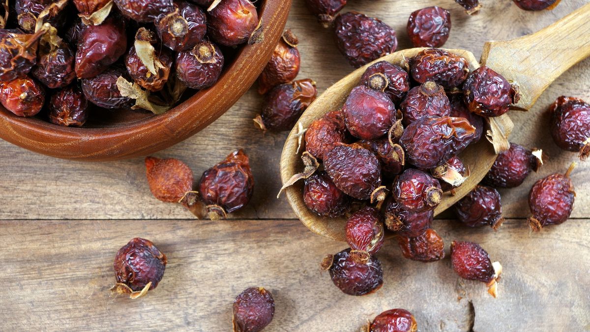 dry rose hips in a wooden spoon on a wooden table. top view
dry rose hips in a wooden spoon on a wooden table. top view
OLEKSII KRIACHKO