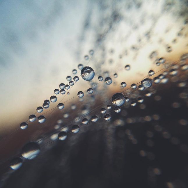 DROPS