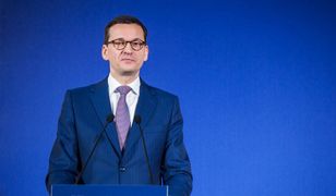 Morawiecki zdymisjonował wojewodę wielkopolskiego. Poszło o Zamek w Stobnicy