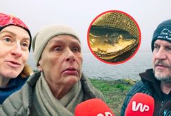 Karp knyszyński z Podlasia. Jest wyjątkowy, inny niż wszystkie