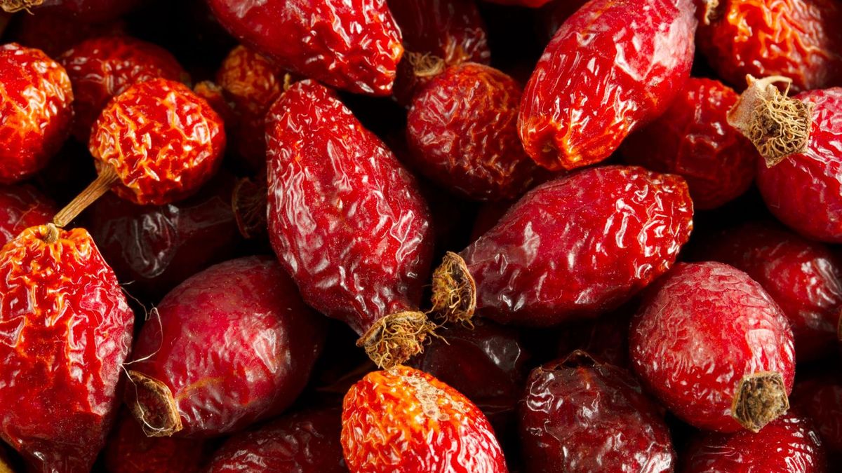 Dzika róża to jesienny superfood, który naturalnie wspiera odporność, trawienie i cerę.