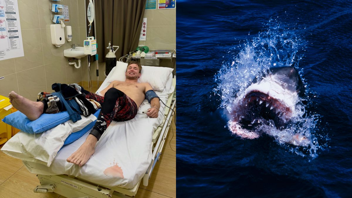 Rekin zaatakował influencera 