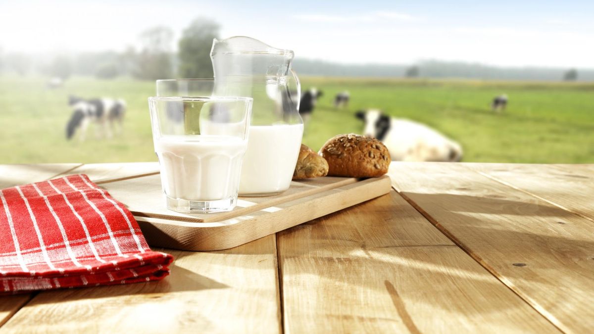 Pełnotłuste mleko to mleko, które ma co najmniej 3,2 % tłuszczu