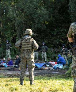 Sterczewski: Straż Graniczna wywiozła migrantów w głąb Puszczy Białowieskiej