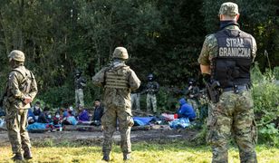 Sterczewski: Straż Graniczna wywiozła migrantów w głąb Puszczy Białowieskiej